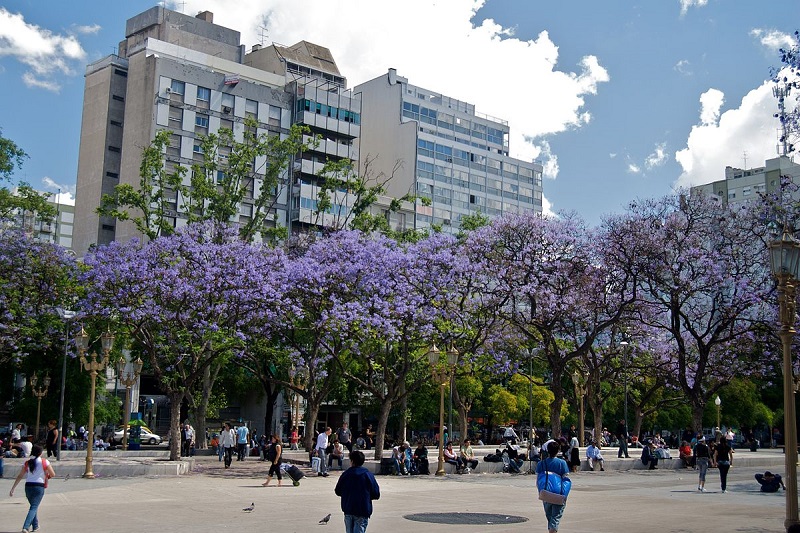 Primavera em Buenos Aires