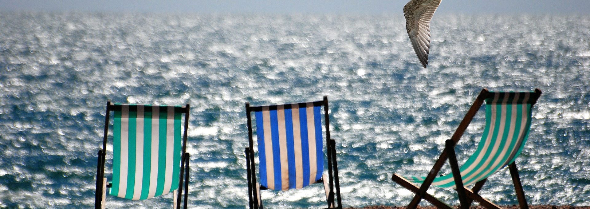 Cadeiras de praia em frente ao mar e uma gaivota voando sobre elas