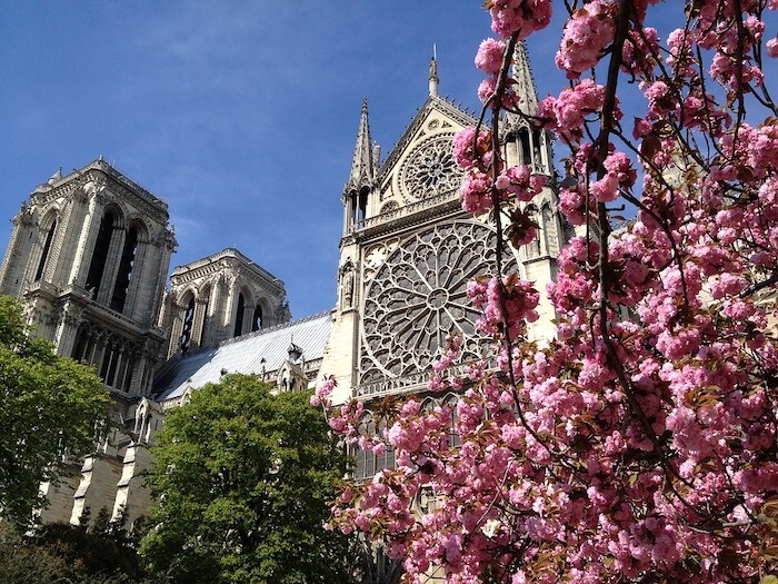Catedral de Notre Dame na primavera em Paris