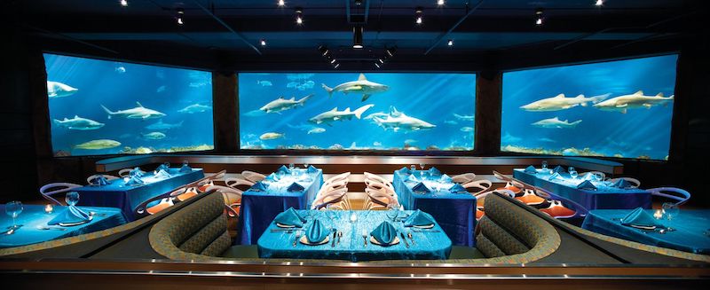 Sharks Underwater Grill and Bar