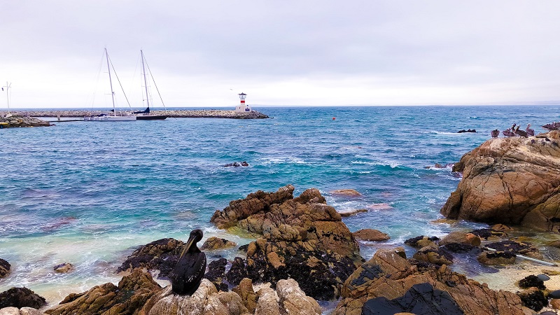 Viña del Mar