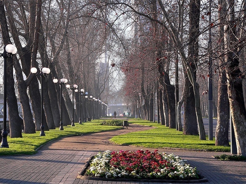Parque Florestal de Santiago Parque Florestal de Santiago