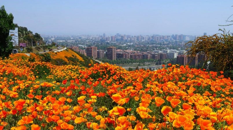 Primavera em Santiago do Chile