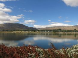 Reserva Laguna Nimez em El Calafate