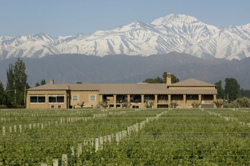 Vista de uma das vinícolas em Mendoza