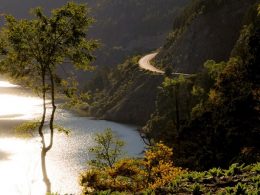 Veja como fazer a Rota dos 7 Lagos em Bariloche