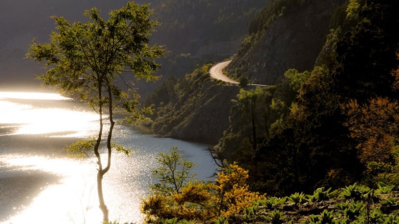 Veja como fazer a Rota dos 7 Lagos em Bariloche