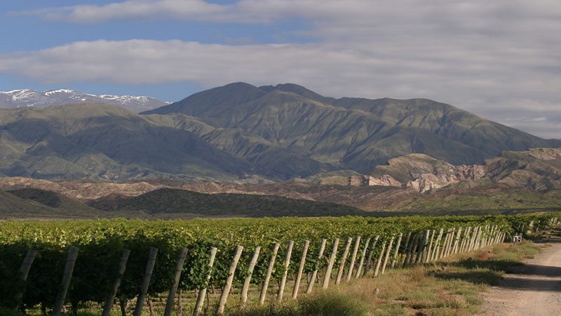 O que fazer em 1 dia em Mendoza?