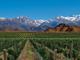 O que fazer em 4 dias em Mendoza?