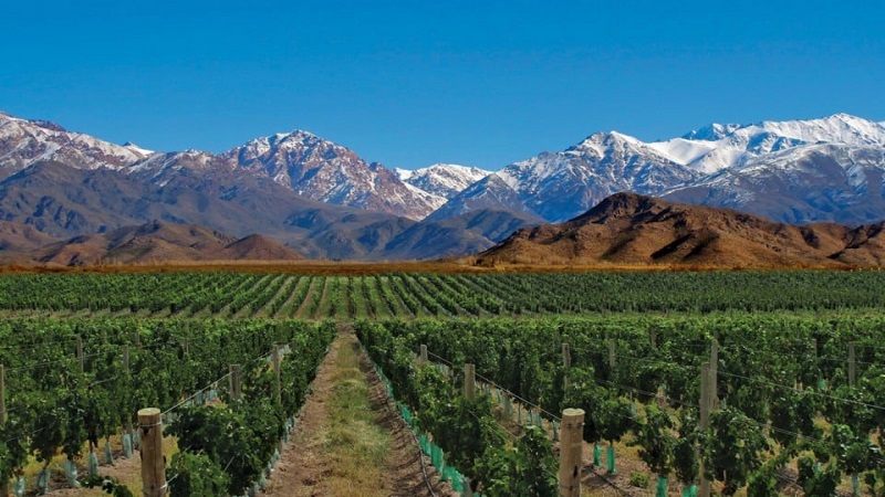 O que fazer em 4 dias em Mendoza?