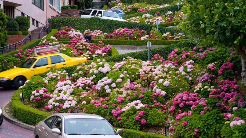 Passeio pela Rua Lombard Street em San Francisco