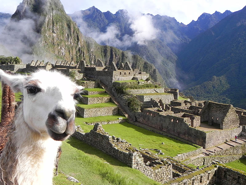 Ir para Machu Picchu em excursão 