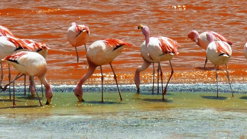 Como é o verão em San Pedro Atacama?