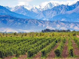 Vinícolas imperdíveis em Mendoza