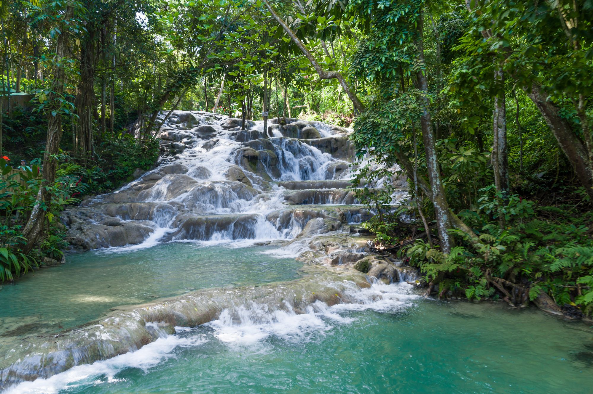 Dunn's river falls