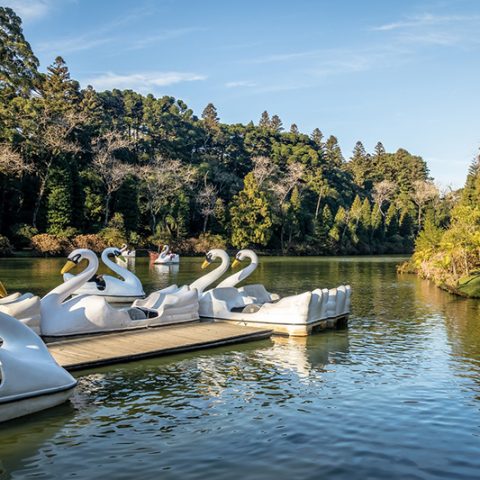 Lago Negro (Black Lake) with Swan Pedal Boats - Gramado, Rio Grande do Sul, Brazil