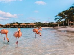 7 melhores praias de Aruba