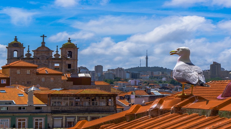 Melhores meses para viajar para o Porto