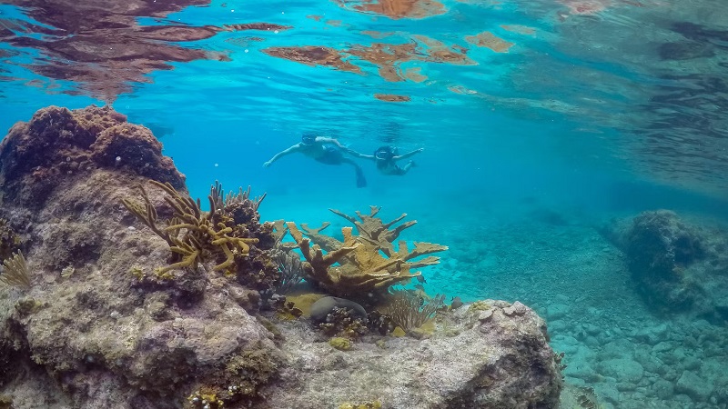 O que fazer em Curaçao: 5 melhores atrações