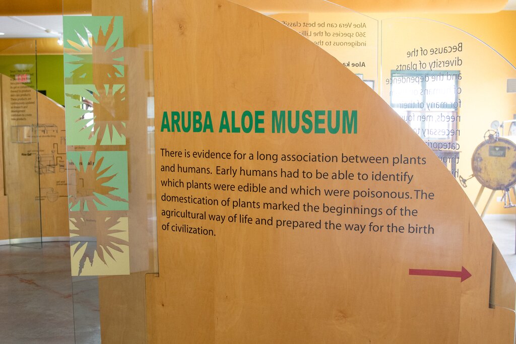 Aruba Aloe Museu