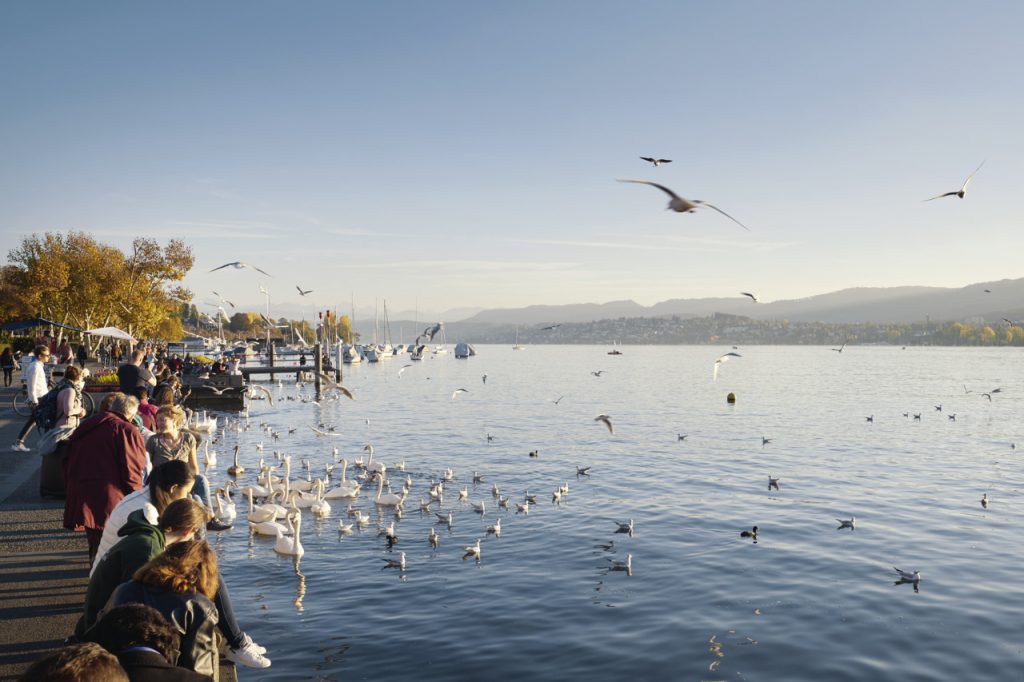 Lago de Zurique, Suiça