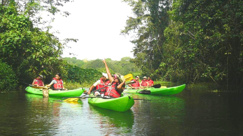 Como visitar a Reserva Gamboa Rainforest