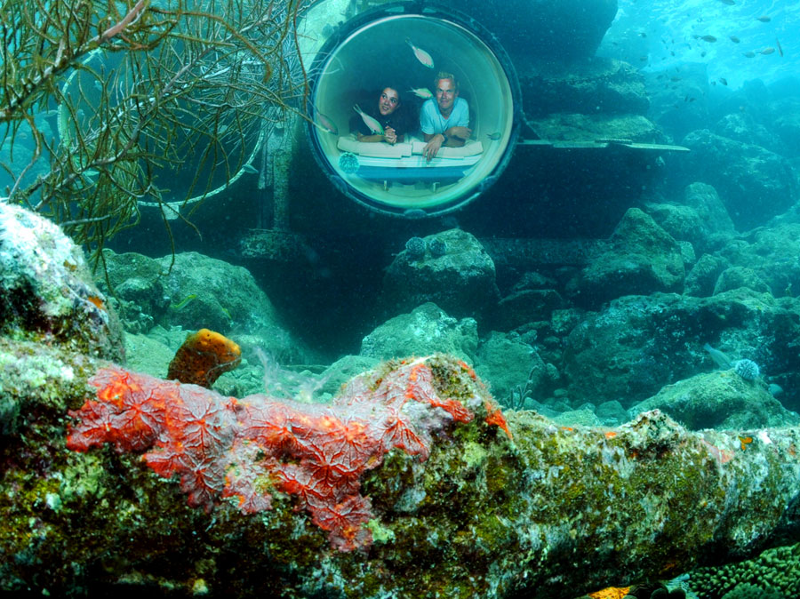 Sea Aquarium em Curaçau