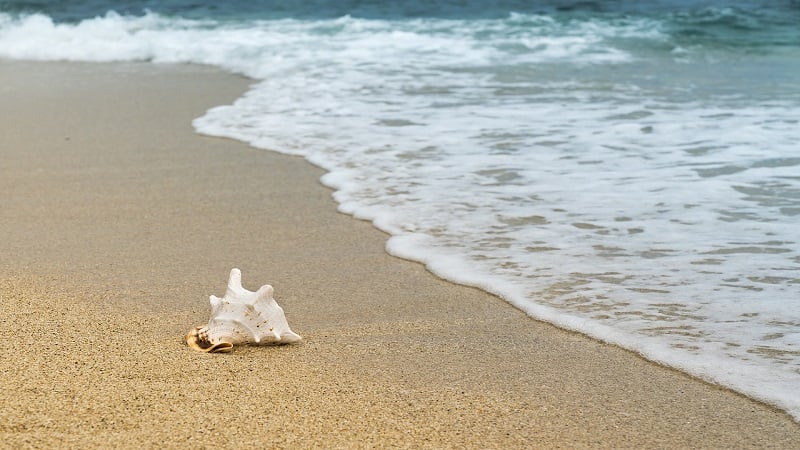 Bate e volta para as praias saindo do Porto