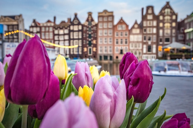 Flores e construções em Amsterdã