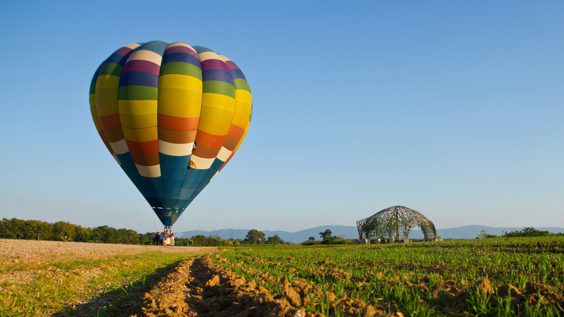 hot air balloon and clear sky