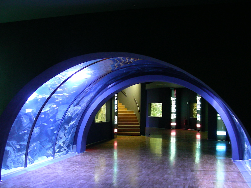 Interior do Aquário Cívico de Milão. Nota-se a estrutura circular com as espécies de vida marinha.