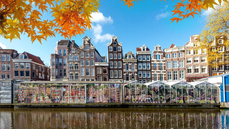 Mercado das Flores em Amsterdã