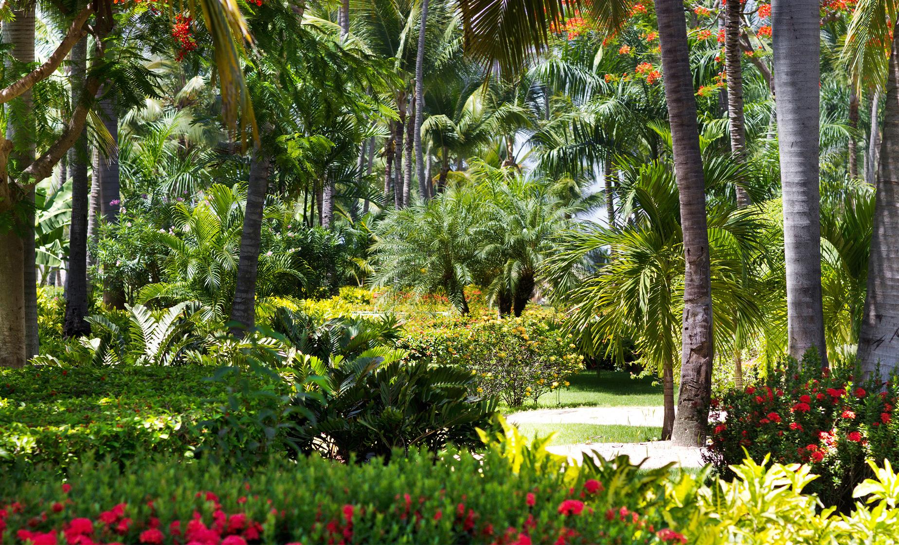 Jardim nas Bahamas