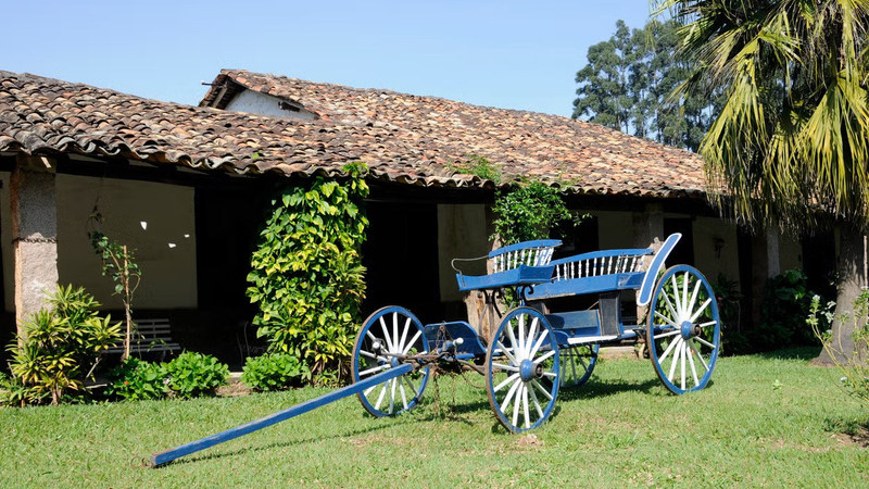 Passeio por uma fazenda de café em São Paulo