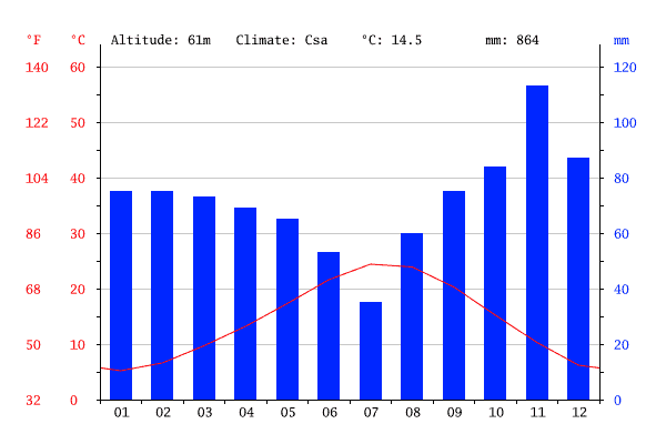 Gráfico com os índices de temperatura e pluviosidade em Florença ao longo do ano