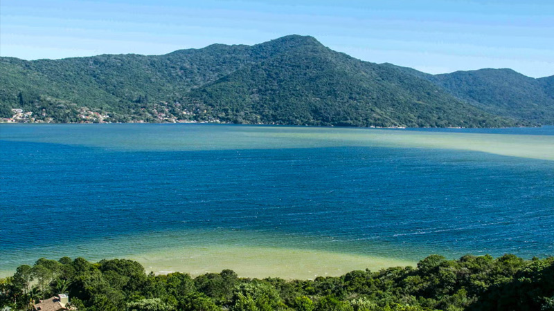 Melhores praias de Florianópolis