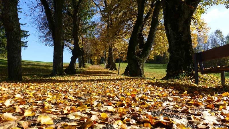 Melhores meses para viajar a Verona: outono