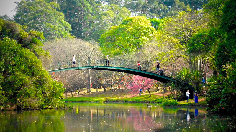 Principais passeios para fazer em São Paulo