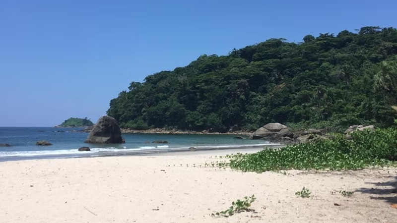 Excursão à ilha de Santo Amaro