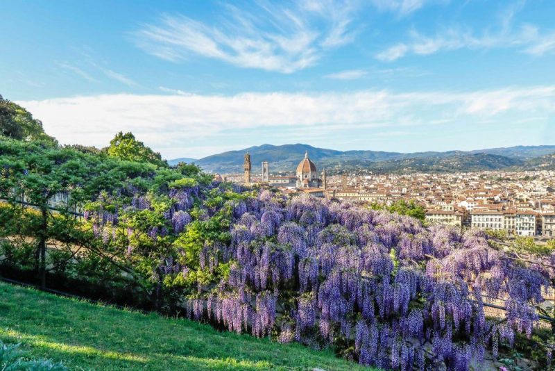 Vista da cidade de Florença na primavera. Nota-se várias flores de cor lilás em primeiro plano.