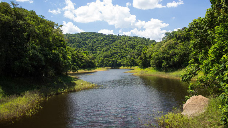 Trilha pela Serra da Cantareira em São Paulo