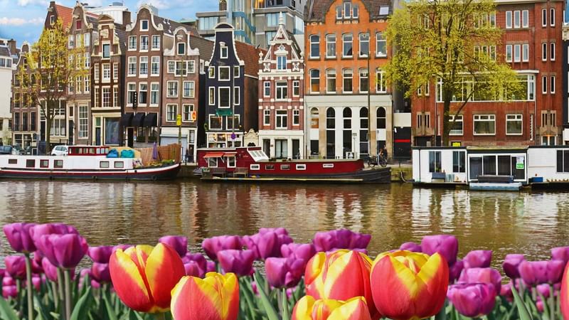 Amsterdã em maio