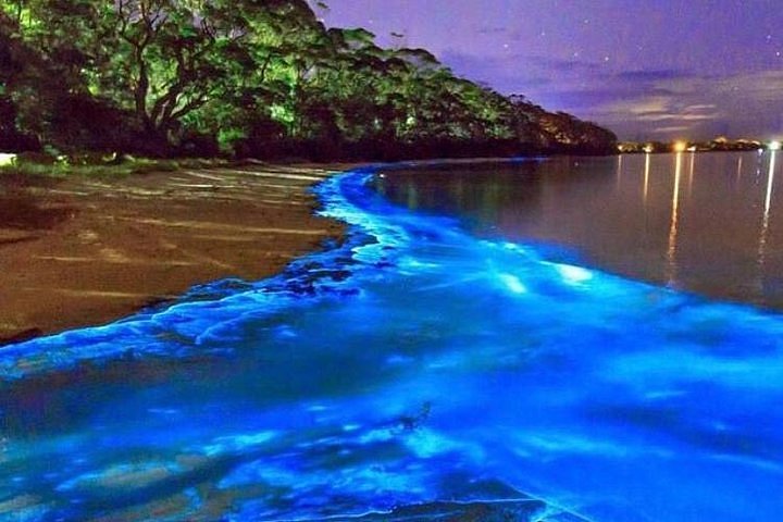Lagoa Luminosa na Jamaica