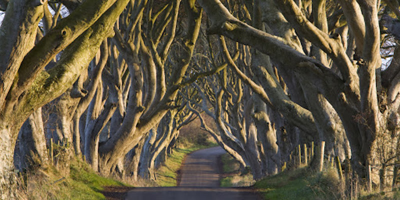 Ingresso para o tour dos Cenários Game of Thrones