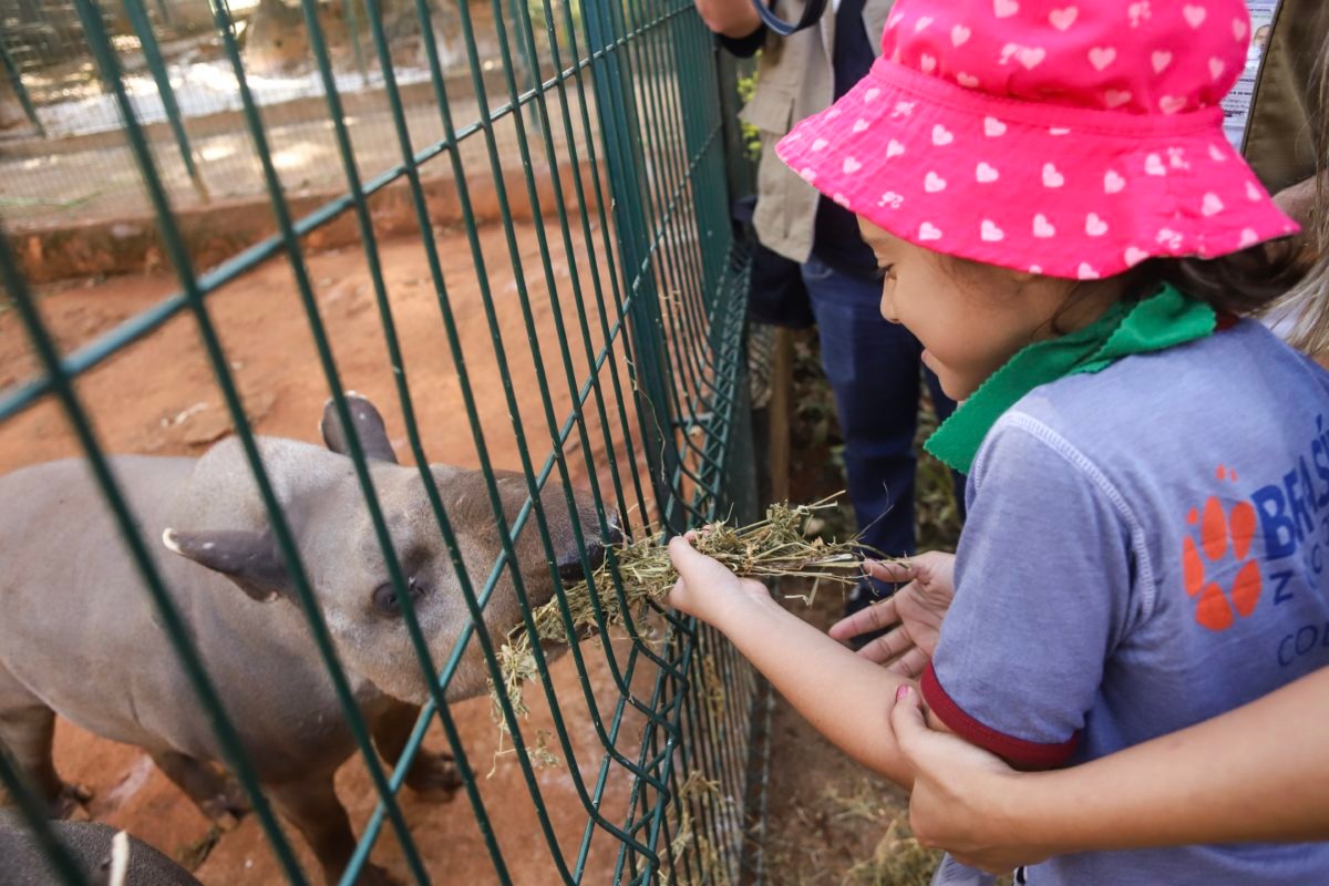 Zoológico em São Paulo