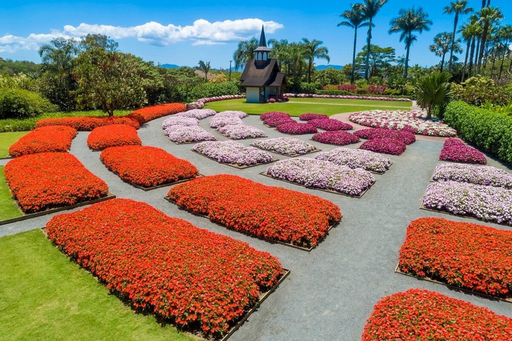 Parque Hemerocallis