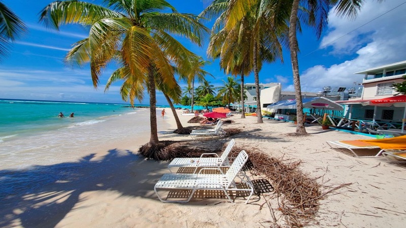 Melhores bares em Barbados