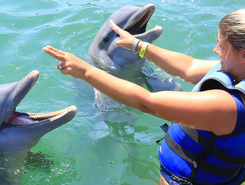 Turista nadando com os golfinhos em Punta Cana
