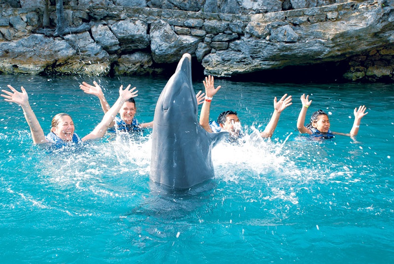 Nado com os golfinhos em Punta Cana