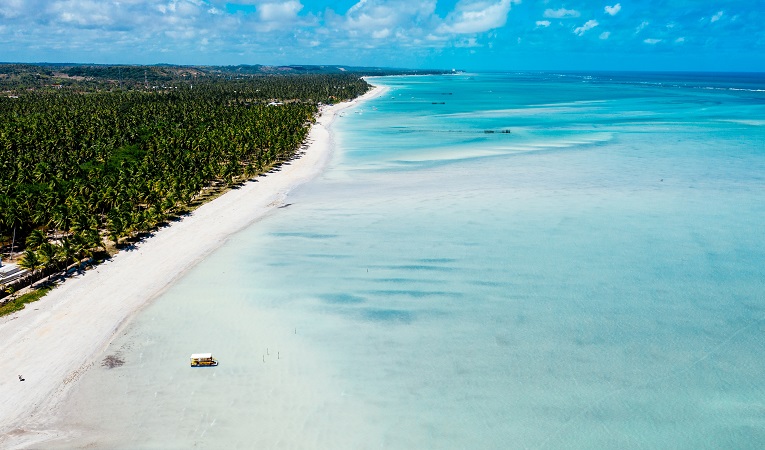 An aerial shot of a clear blue sea with a forested shore and beach on the side